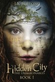 Hidden City