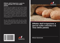 Effetto dell'irrigazione a goccia sulla crescita e la resa della patata - Gusarowa, Diana