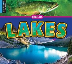 Lakes - Willis, John