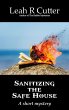Sanitizing the Safe House (eBook, ePUB) - Bild 1