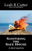 Sanitizing the Safe House (eBook, ePUB) Sanitizing the Safe House (eBook, ePUB)