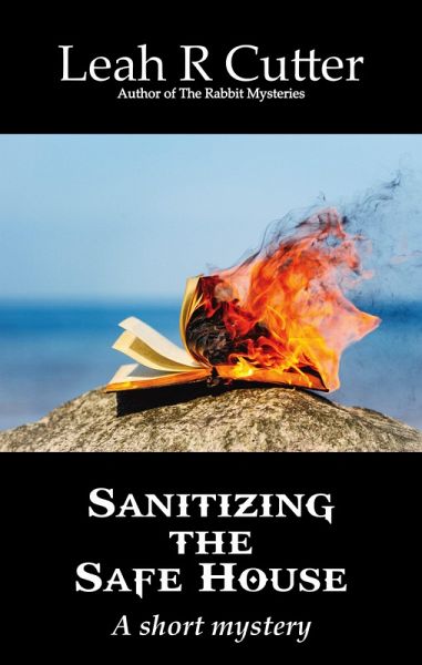 Sanitizing the Safe House (eBook, ePUB)