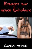 Erzogen zur neuen Bürohure (eBook, ePUB)