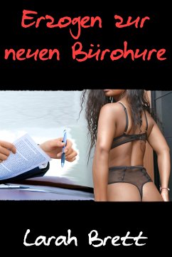 Erzogen zur neuen Bürohure (eBook, ePUB) - Brett, Larah