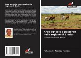 Aree agricole e pastorali nella regione di Zinder