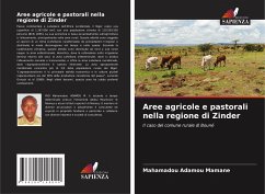 Aree agricole e pastorali nella regione di Zinder - Adamou Mamane, Mahamadou