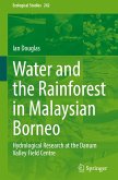 Water and the Rainforest in Malaysian Borneo
