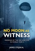 No Moon as Witness (eBook, ePUB)