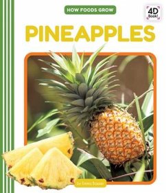 Pineapples - Bassier, Emma