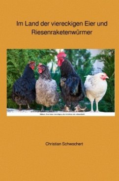 Im Land der viereckigen Eier und Riesenraketenwürmer - Schwochert, Christian