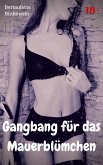 Gangbang für das Mauerblümchen (eBook, ePUB)