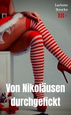 Von Nikoläusen durchgefickt (eBook, ePUB)