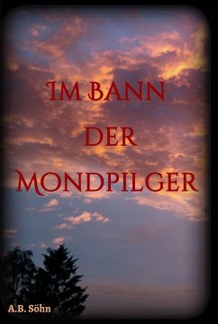 Im Bann der Mondpilger (eBook, ePUB) - Söhn, A. B.
