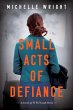 Small Acts of Defiance (eBook, ePUB) - Bild 1