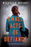 Small Acts of Defiance (eBook, ePUB)