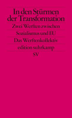 In den Stürmen der Transformation (eBook, ePUB) - Ther, Philipp; Brunnbauer, Ulf; Filipkowski, Piotr; Hodges, Andrew; Petrungaro, Stefano; Wegenschimmel, Peter