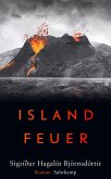 Islandfeuer (eBook, ePUB)