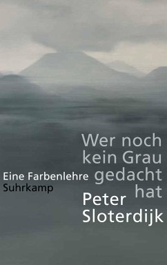 Wer noch kein Grau gedacht hat. (eBook, ePUB) - Sloterdijk, Peter