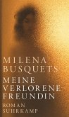 Meine verlorene Freundin (eBook, ePUB)