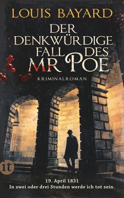Der denkwürdige Fall des Mr Poe (eBook, ePUB) - Bayard, Louis