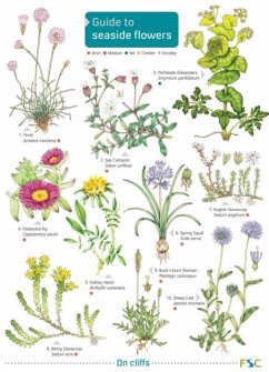 Cover Seaside Flowers