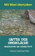Unter der Oberfläche (eBook, ePUB) - Bild 1