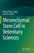 Mesenchymal Stem Cell in Veterinary... - Bild 1