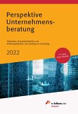 Perspektive Unternehmensberatung 2022 (eBook, ePUB)