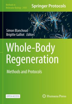 Whole-Body Regeneration