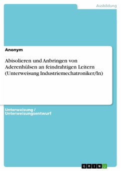 Abisolieren und Anbringen von Aderenhülsen an feindrahtigen Leitern (Unterweisung Industriemechatroniker/In) (eBook, PDF)