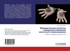 Cover Juridicheskie aspekty sowershenstwowaniq instituta pomilowaniq