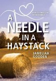 A Needle in a Haystack: How to Find Love in the Rubble A Needle in a Haystack: How to Find Love in the Rubble