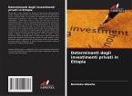 Determinanti degli investimenti privati in Etiopia