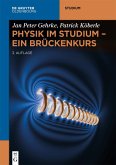Physik im Studium - Ein Brückenkurs (eBook, ePUB)