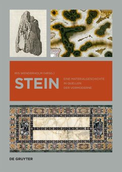 Cover Stein (eBook, PDF)