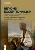 Beyond Exceptionalism (eBook, ePUB)