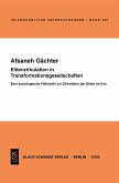 Elitenzirkulation in Transformationsgesellschaften (eBook, PDF)