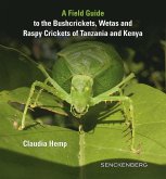 A Field Guide to the Bushcrickets, Wetas and Raspy Crickets of Tanzania and Kenya (eBook, PDF)