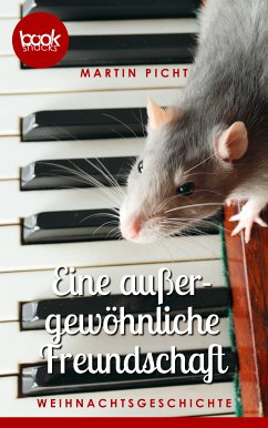 Eine außergewöhnliche Freundschaft (eBook, ePUB) - Picht, Martin