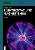 Elektrizität und Magnetismus (eBook, ePUB)