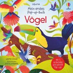 Vögel / Mein erstes Pop-up-Buch Bd.4