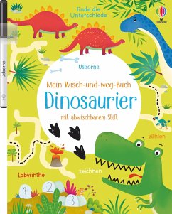 Mein Wisch-und-weg-Buch: Dinosaurier - Robson, Kirsteen