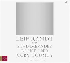 Schimmernder Dunst über CobyCounty - Randt, Leif