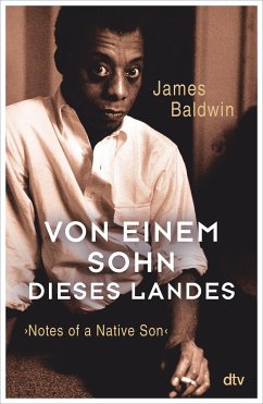 Von einem Sohn dieses Landes - Baldwin, James