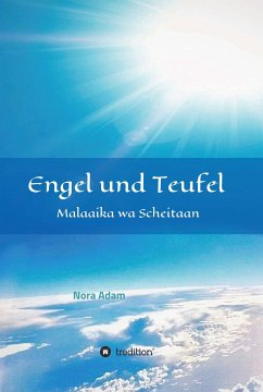 Engel und Teufel (eBook, ePUB) - Adam, Nora