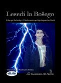 Lesedi La Bošego (eBook, ePUB)
