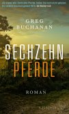 Sechzehn Pferde (eBook, ePUB)