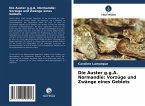 Die Auster g.g.A. Normandie: Vorzüge und Zwänge eines Gebiets