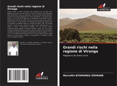 Grandi rischi nella regione di Virunga - Byamungu Zirirane, Marcellin