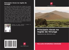 Principais riscos na região da Virunga - Byamungu Zirirane, Marcellin